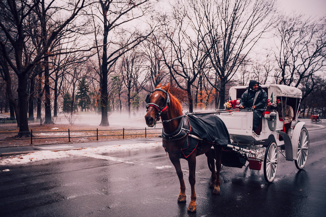 new york city christmas attractions