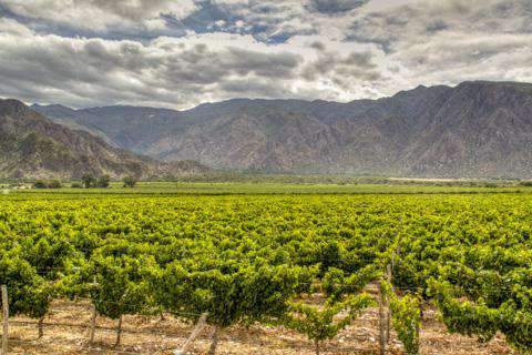 Cafayate, Argentina