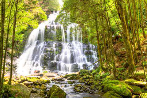 Nelson Falls, Franklin-Gordon Wild Rivers National Park, Tasmania, Australia