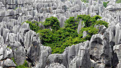 The Stone Forest, Kunming, Yunnan, China