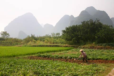 Farms near Yangshuo, China