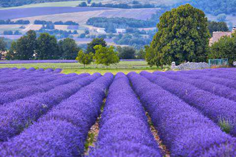 Provence-Alpes-Cote d'Azur