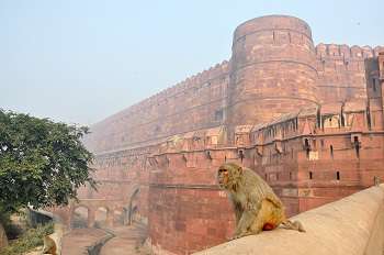 Agra Fort