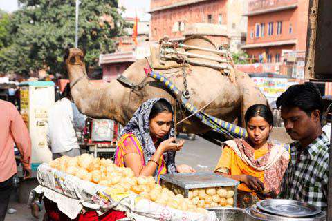 Street food in Jaipur, India