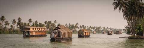 Houseboats on the Backwaters of Kerala