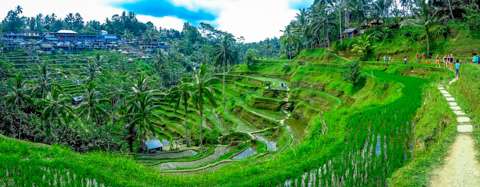 Ubud, Bali, Indonesia 