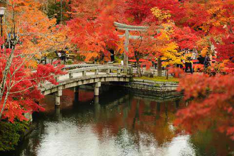 Eikando Temple, Kyoto, Japan