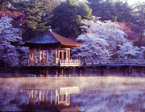 Ukimido Pavilion, Nara, Japan (©NARA TOURISM FEDERATION/©JNTO)