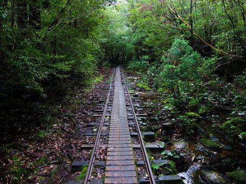 Yakushima