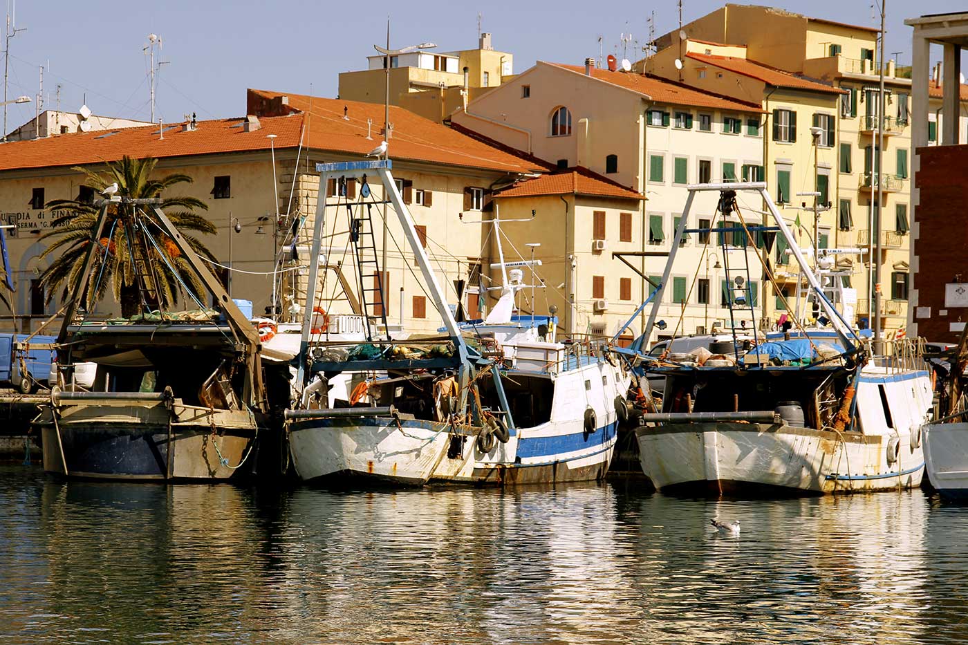 Is Livorno Worth Visiting? Reasons You Should Visit | Budget Your Trip