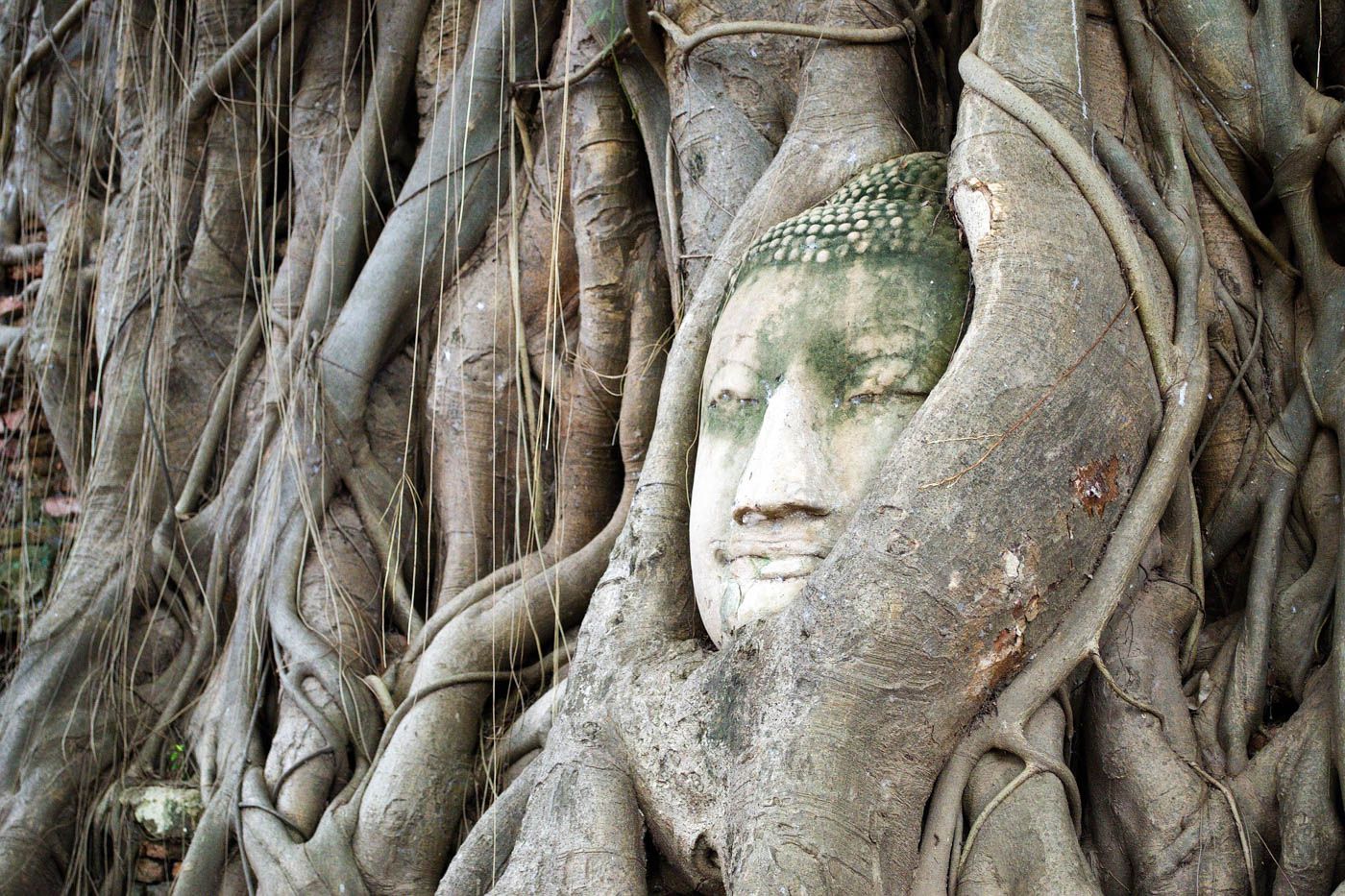 ayutthaya thailand budgetyourtrip travel temples