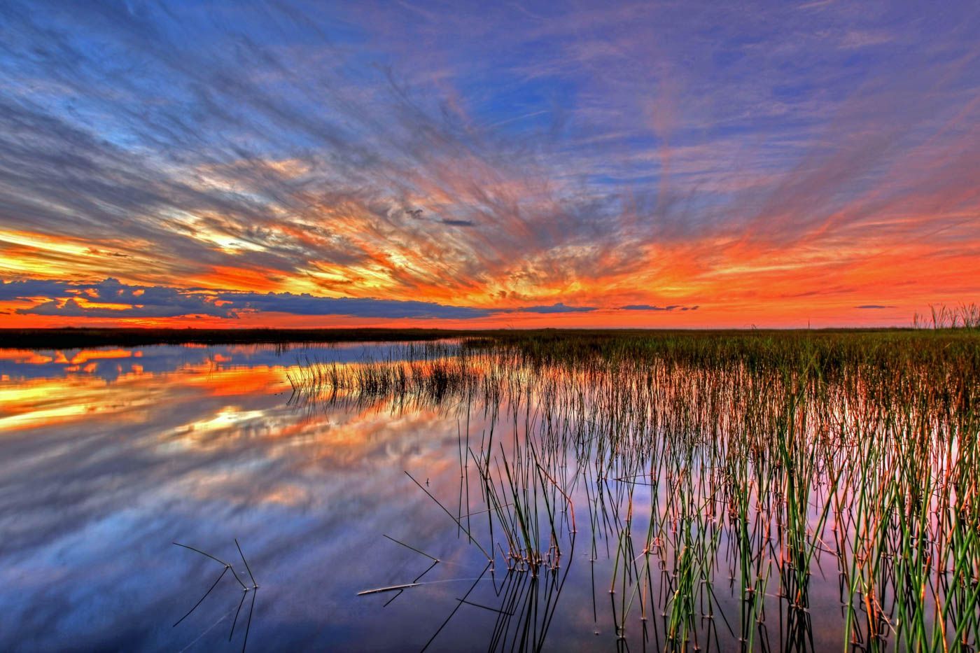 Should I Visit Everglades National Park or Kamloops? Which is Better ...