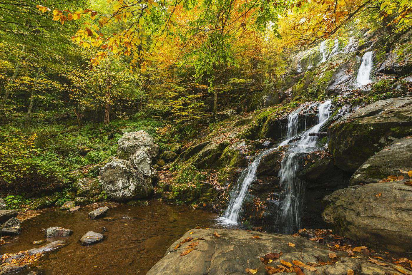 Shenandoah National Park Travel Cost Average Price Of A Vacation