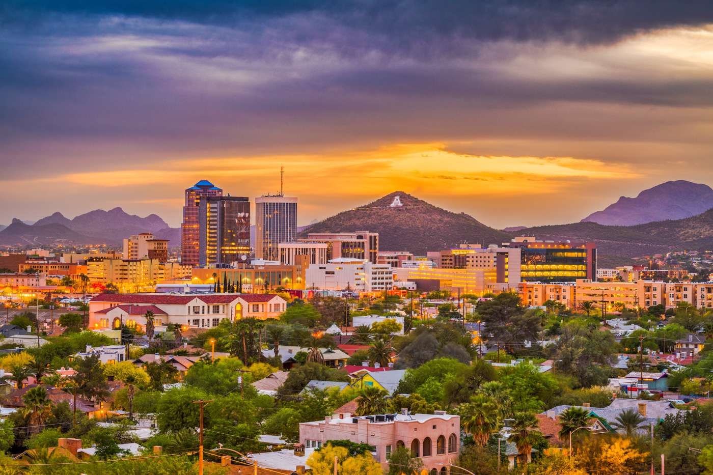 The 10 Best PetFriendly Hotels in Tucson, Arizona DogFriendly Places