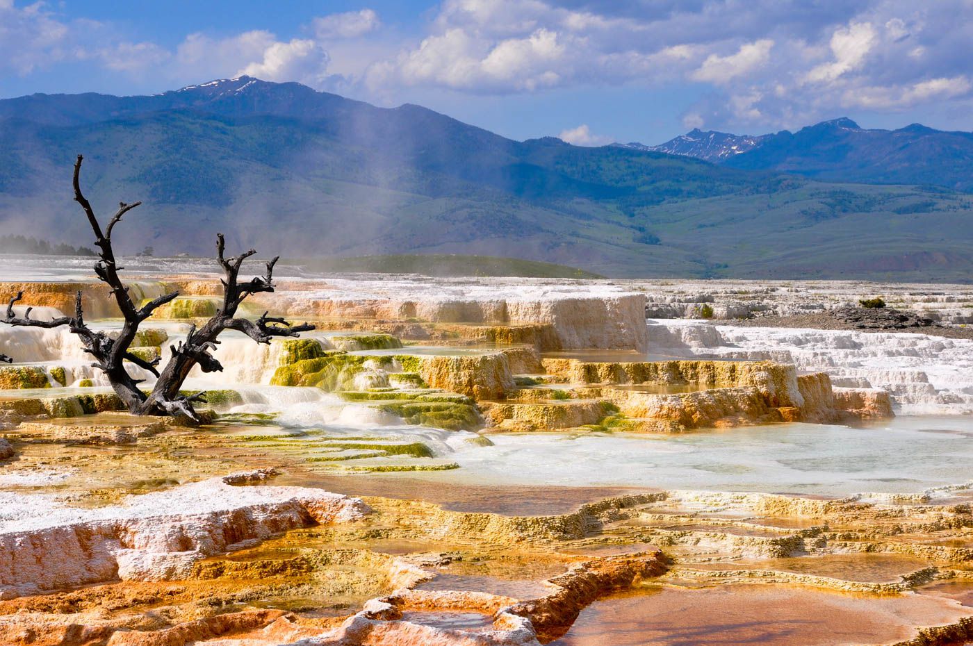 Yellowstone National Park Travel Cost  Average Price of a Vacation to