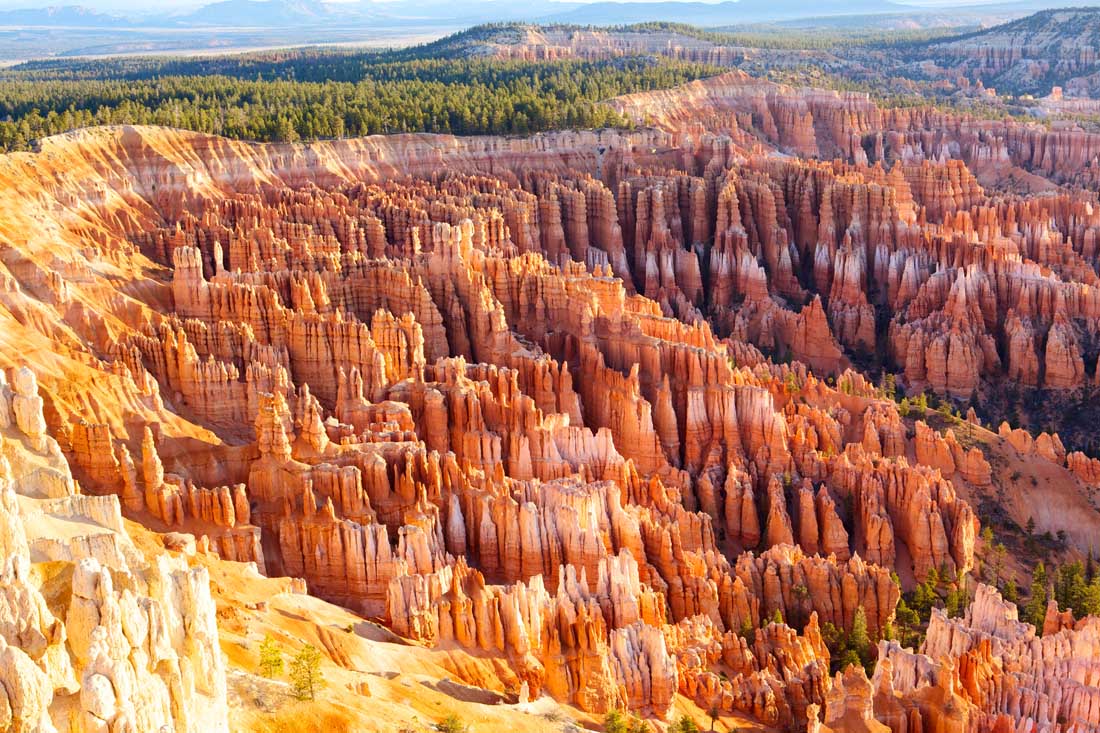 The Hoodoos of Bryce Canyon National Park
