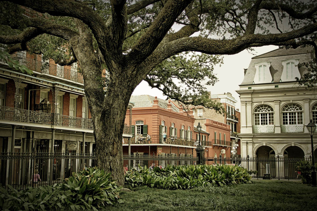 The French Quarter