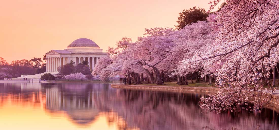 The Lincoln Memorial during the Cherry Blossom Festival - Washington, D.C.