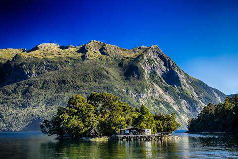 New Zealand