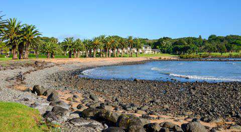 The beach near Paihia, New Zealand