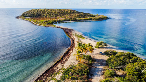 Vieques Island