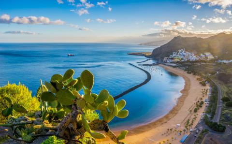 Vivere A Santa Cruz De Tenerife