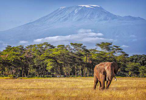 Kilimanjaro, Tanzania