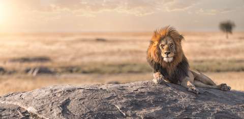 Serengeti National Park, Tanzania