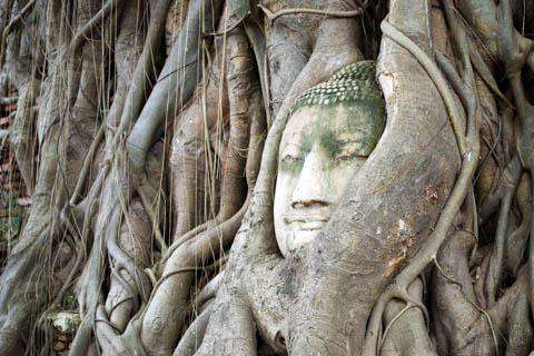 Ayutthaya, Thailand