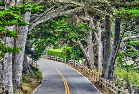 17-mile drive, Carmel by the Sea, California