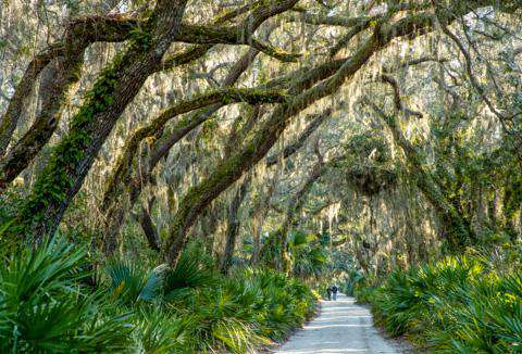 cumberland island national seashore beaches georgia