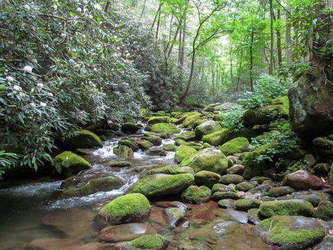 Gatlinburg, Tennessee