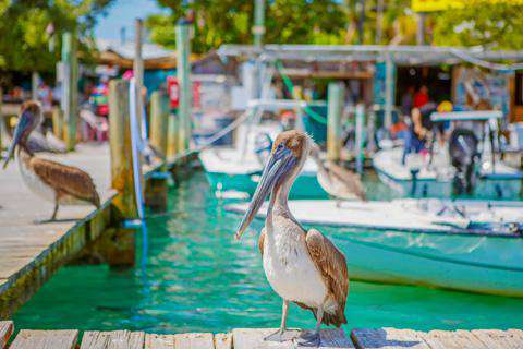 Islamorada, Florida