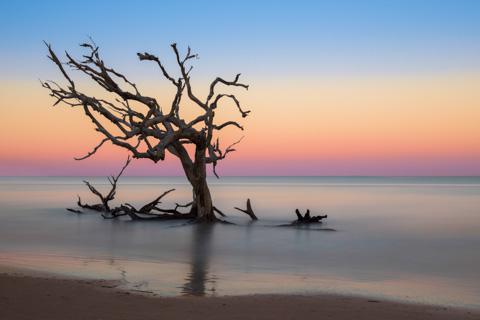 Jekyll Island, Georgia, USA