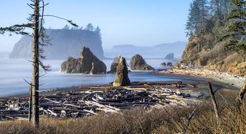 Olympic National Park