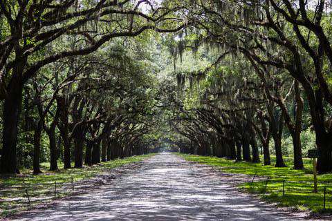 Savannah, Georgia