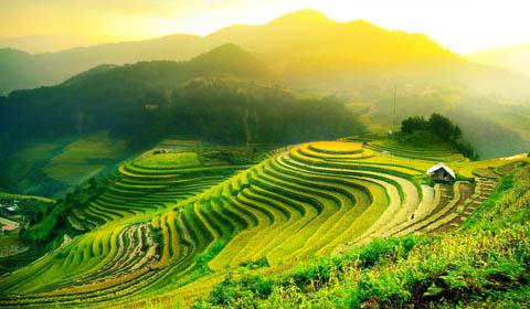 Mu Cang Chai Rice Terraces, Vietnam